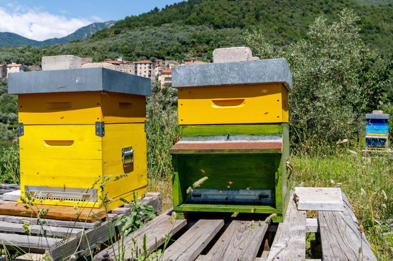Arve Castelbianco - B&B E Appartamento Colletta Εξωτερικό φωτογραφία